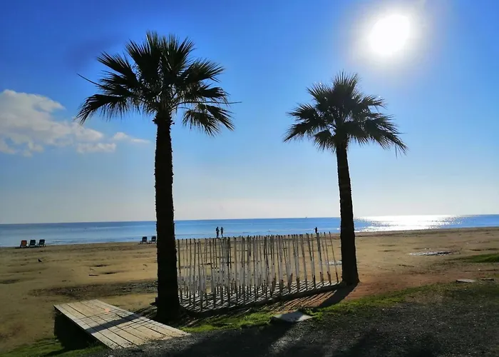 Ithaki Phinikoudes No. 106 Larnaca